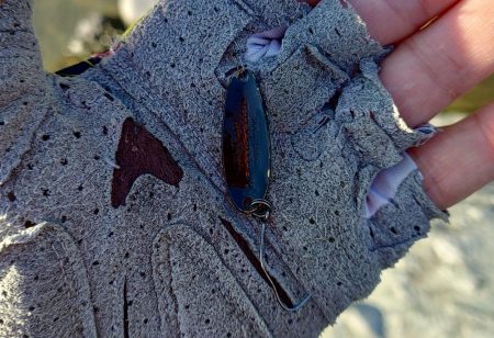 やられた ～天竜川ルアーフライテンカラ専用区～